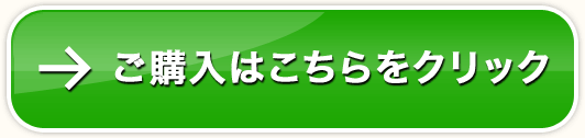 ラーメンとつけ麺の2011年 年間大賞4食セットのご購入はこちらをクリック